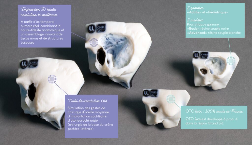 Le projet OtoTwin, le jumeau numérique de l’os temporal humain